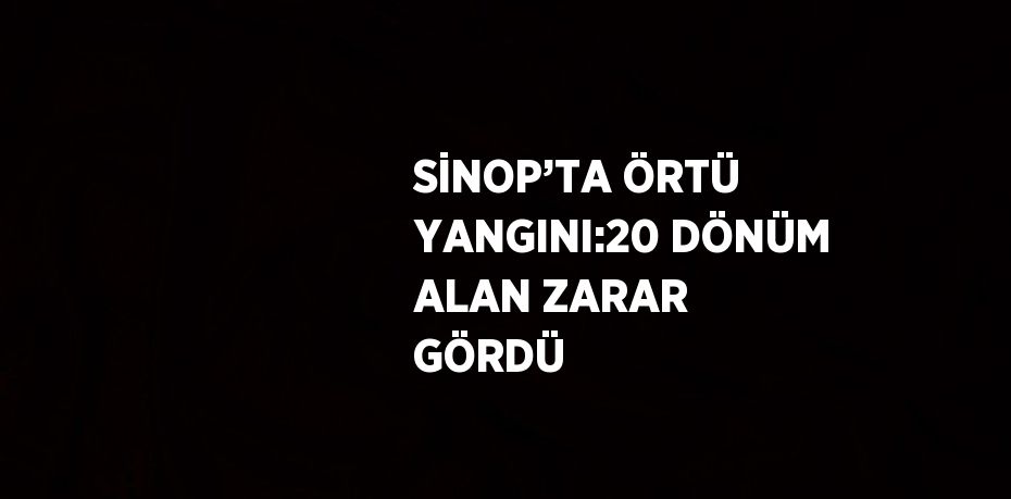 SİNOP’TA ÖRTÜ YANGINI:20 DÖNÜM ALAN ZARAR GÖRDÜ