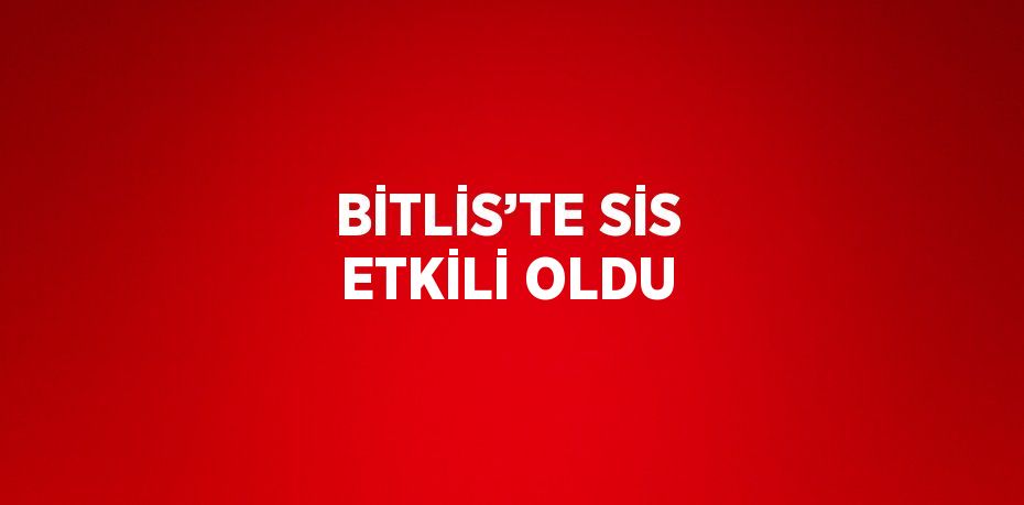 BİTLİS’TE SİS ETKİLİ OLDU