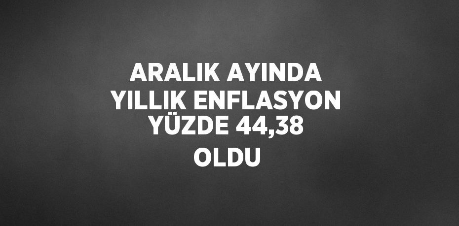 ARALIK AYINDA YILLIK ENFLASYON YÜZDE 44,38 OLDU