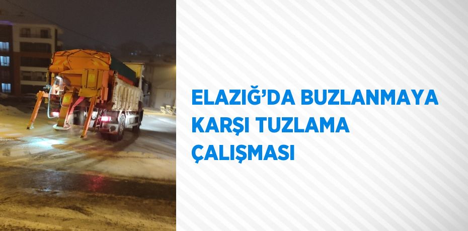 ELAZIĞ’DA BUZLANMAYA KARŞI TUZLAMA ÇALIŞMASI