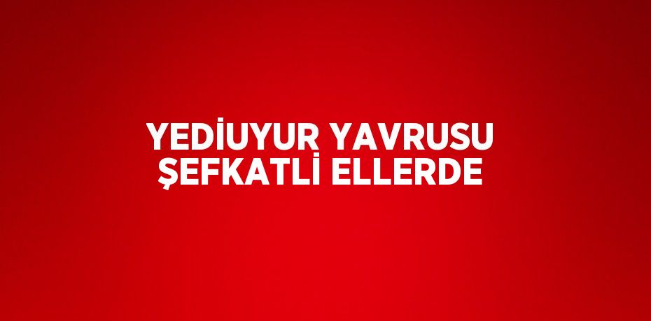 YEDİUYUR YAVRUSU ŞEFKATLİ ELLERDE