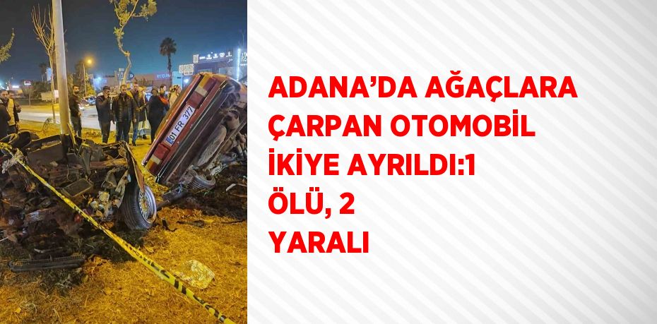 ADANA’DA AĞAÇLARA ÇARPAN OTOMOBİL İKİYE AYRILDI:1 ÖLÜ, 2 YARALI