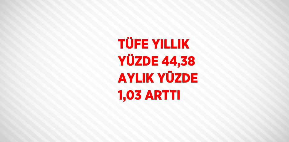 TÜFE YILLIK YÜZDE 44,38 AYLIK YÜZDE 1,03 ARTTI