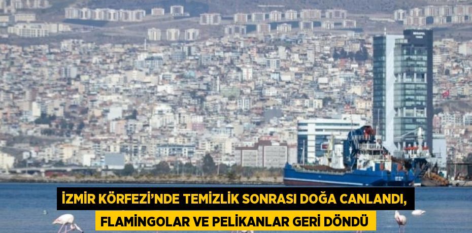 İZMİR KÖRFEZİ’NDE TEMİZLİK SONRASI DOĞA CANLANDI, FLAMİNGOLAR VE PELİKANLAR GERİ DÖNDÜ