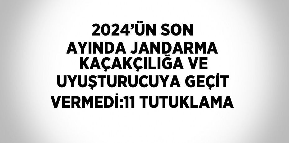 2024’ÜN SON AYINDA JANDARMA KAÇAKÇILIĞA VE UYUŞTURUCUYA GEÇİT VERMEDİ:11 TUTUKLAMA