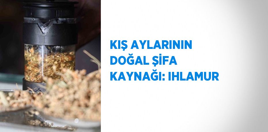 KIŞ AYLARININ DOĞAL ŞİFA KAYNAĞI: IHLAMUR