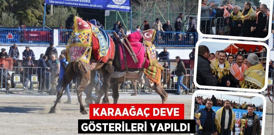 KARAAĞAÇ DEVE GÖSTERİLERİ YAPILDI