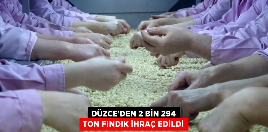 DÜZCE’DEN 2 BİN 294 TON FINDIK İHRAÇ EDİLDİ