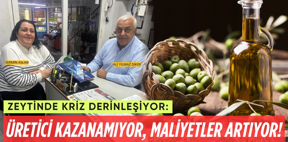 Zeytinde Kriz Derinleşiyor:  ÜRETİCİ KAZANAMIYOR,  MALİYETLER ARTIYOR!