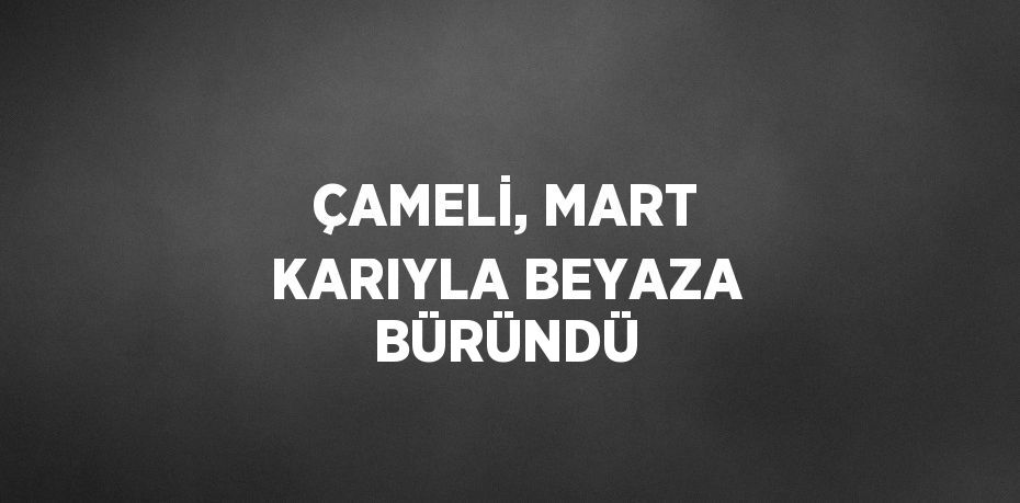 ÇAMELİ, MART KARIYLA BEYAZA BÜRÜNDÜ