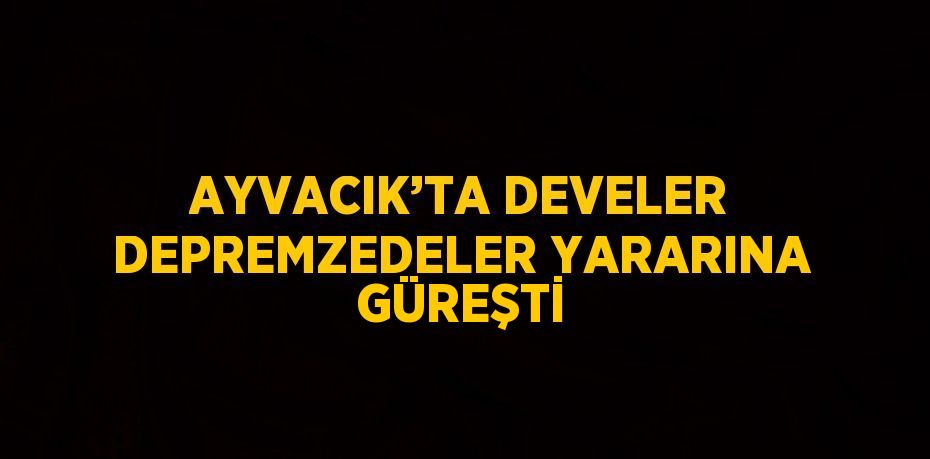 AYVACIK’TA DEVELER DEPREMZEDELER YARARINA GÜREŞTİ