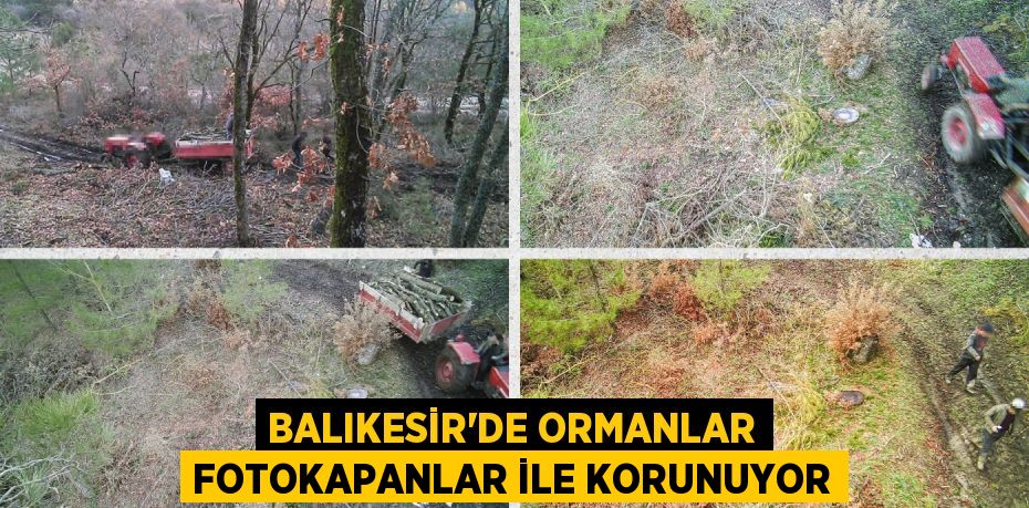 BALIKESİR’DE ORMANLAR FOTOKAPANLAR İLE KORUNUYOR