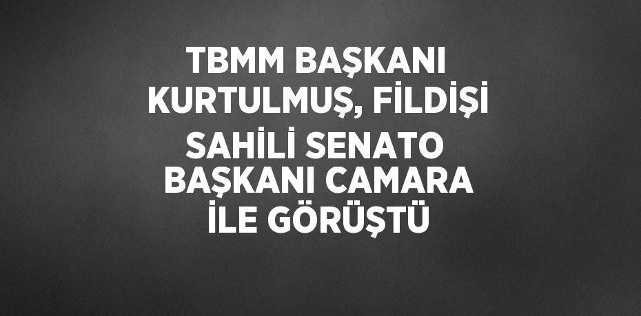 TBMM BAŞKANI KURTULMUŞ, FİLDİŞİ SAHİLİ SENATO BAŞKANI CAMARA İLE GÖRÜŞTÜ