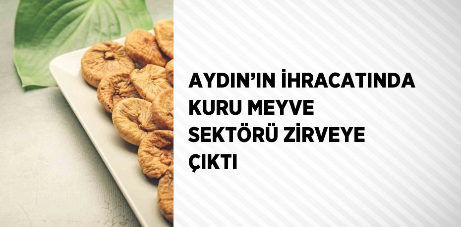 AYDIN’IN İHRACATINDA KURU MEYVE SEKTÖRÜ ZİRVEYE ÇIKTI