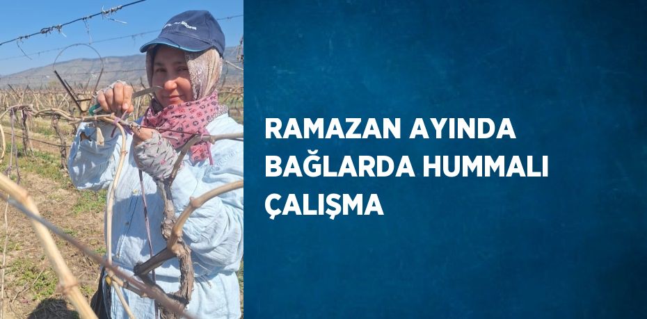 RAMAZAN AYINDA BAĞLARDA HUMMALI ÇALIŞMA