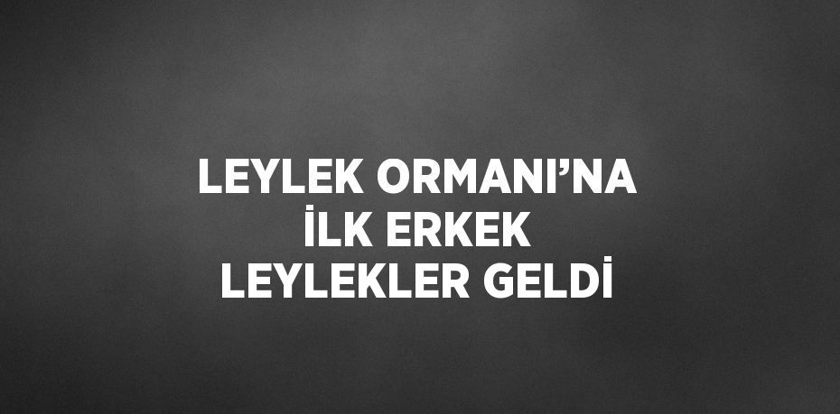 LEYLEK ORMANI’NA İLK ERKEK LEYLEKLER GELDİ