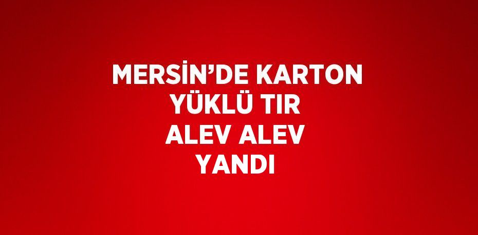 MERSİN’DE KARTON YÜKLÜ TIR ALEV ALEV YANDI