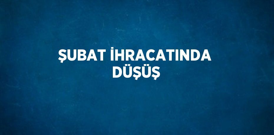 ŞUBAT İHRACATINDA DÜŞÜŞ