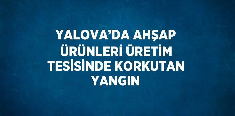 YALOVA’DA AHŞAP ÜRÜNLERİ ÜRETİM TESİSİNDE KORKUTAN YANGIN