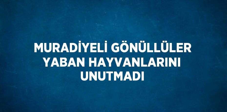 MURADİYELİ GÖNÜLLÜLER YABAN HAYVANLARINI UNUTMADI