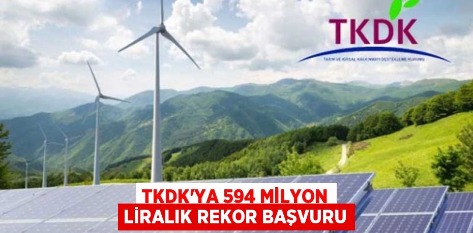 TKDK'YA 594 MİLYON LİRALIK REKOR BAŞVURU