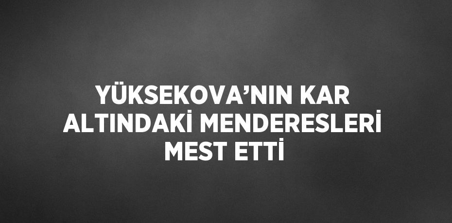 YÜKSEKOVA’NIN KAR ALTINDAKİ MENDERESLERİ MEST ETTİ