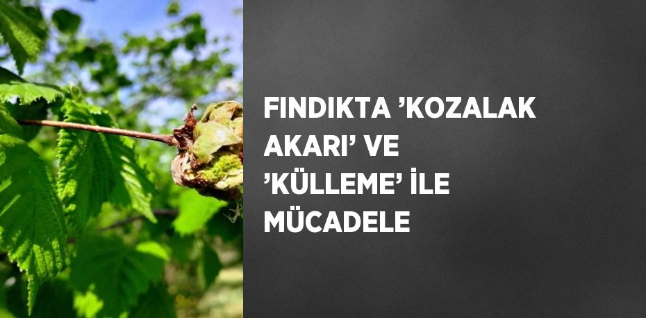 FINDIKTA ’KOZALAK AKARI’ VE ’KÜLLEME’ İLE MÜCADELE