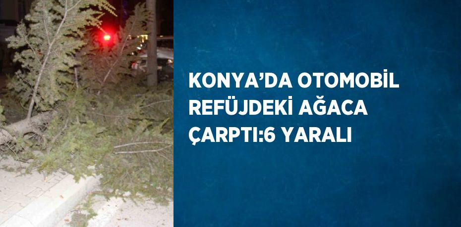 KONYA’DA OTOMOBİL REFÜJDEKİ AĞACA ÇARPTI:6 YARALI