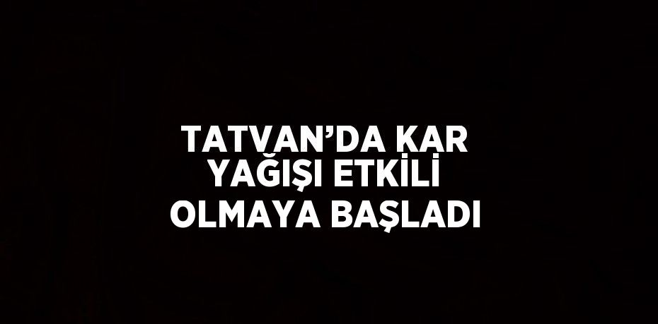 TATVAN’DA KAR YAĞIŞI ETKİLİ OLMAYA BAŞLADI