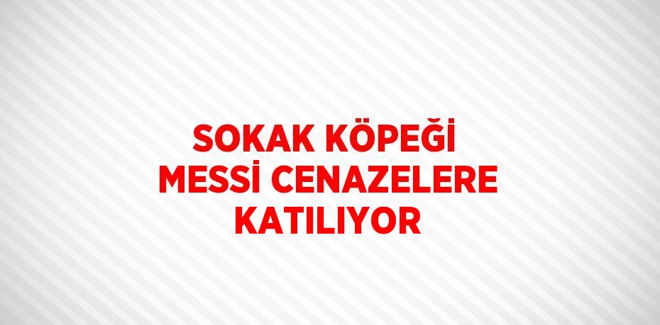 SOKAK KÖPEĞİ MESSİ CENAZELERE KATILIYOR