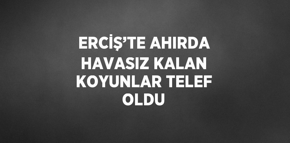 ERCİŞ’TE AHIRDA HAVASIZ KALAN KOYUNLAR TELEF OLDU