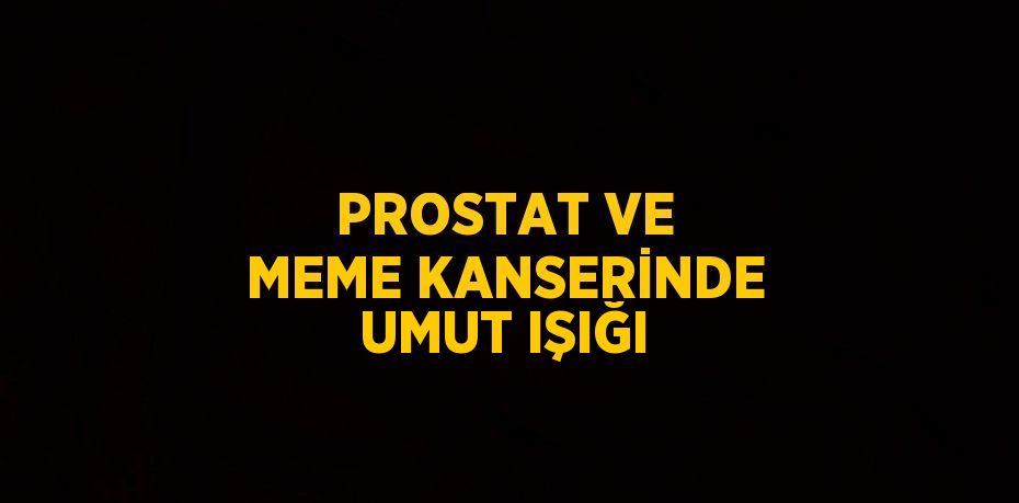 PROSTAT VE MEME KANSERİNDE UMUT IŞIĞI