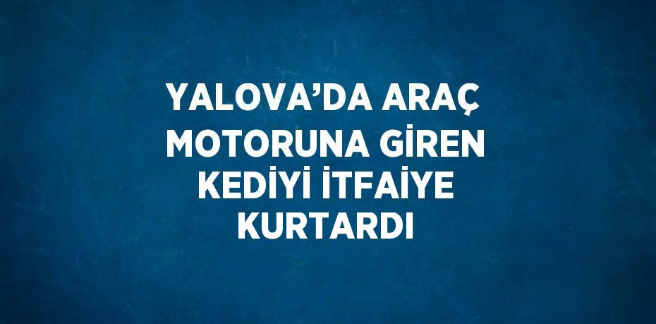 YALOVA’DA ARAÇ MOTORUNA GİREN KEDİYİ İTFAİYE KURTARDI