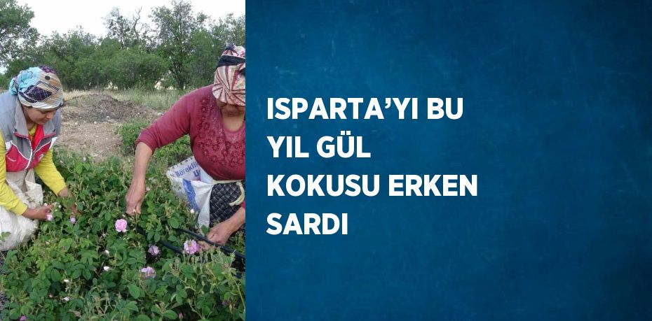 ISPARTA’YI BU YIL GÜL KOKUSU ERKEN SARDI