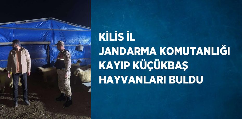 KİLİS İL JANDARMA KOMUTANLIĞI KAYIP KÜÇÜKBAŞ HAYVANLARI BULDU