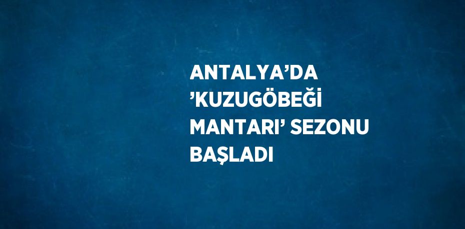 ANTALYA’DA ’KUZUGÖBEĞİ MANTARI’ SEZONU BAŞLADI
