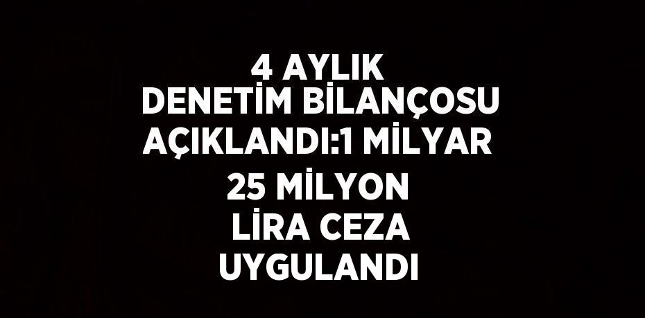 4 AYLIK DENETİM BİLANÇOSU AÇIKLANDI:1 MİLYAR 25 MİLYON LİRA CEZA UYGULANDI