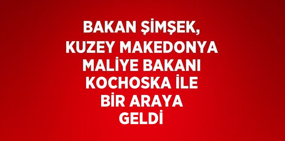 BAKAN ŞİMŞEK, KUZEY MAKEDONYA MALİYE BAKANI KOCHOSKA İLE BİR ARAYA GELDİ