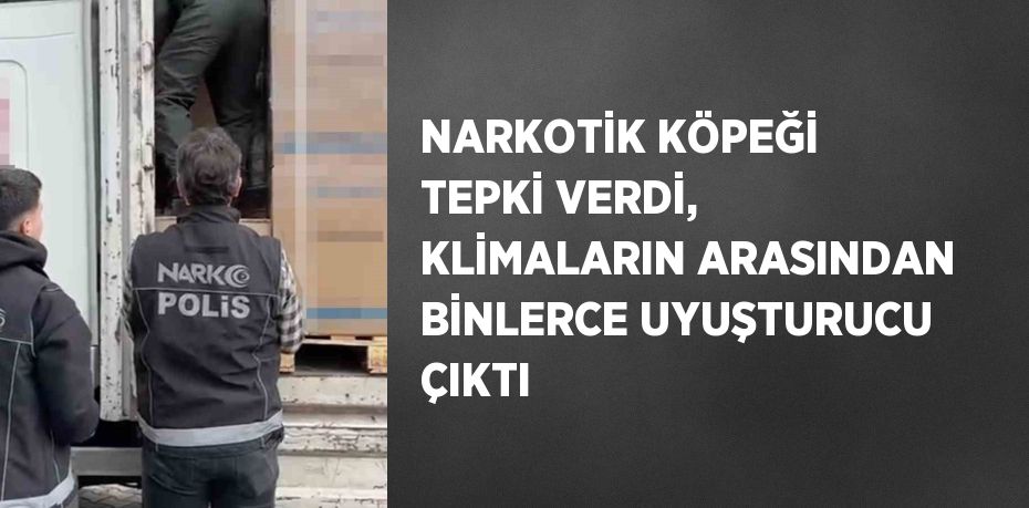 NARKOTİK KÖPEĞİ TEPKİ VERDİ, KLİMALARIN ARASINDAN BİNLERCE UYUŞTURUCU ÇIKTI