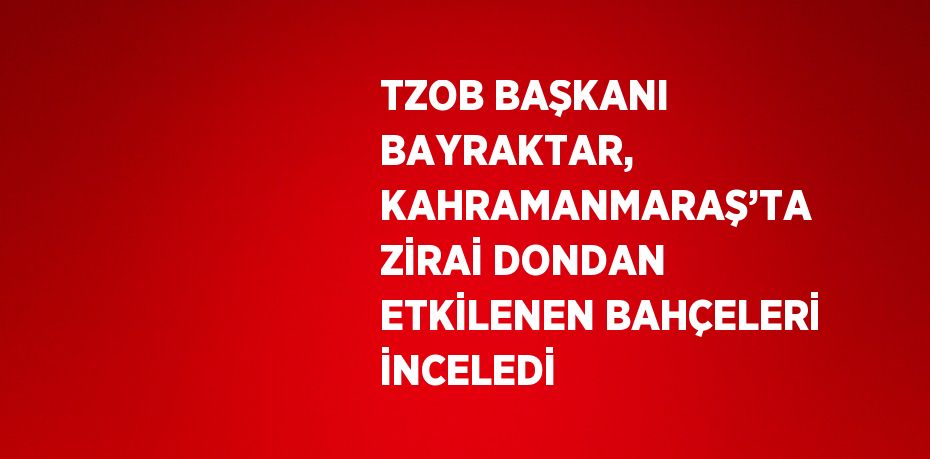 TZOB BAŞKANI BAYRAKTAR, KAHRAMANMARAŞ’TA ZİRAİ DONDAN ETKİLENEN BAHÇELERİ İNCELEDİ