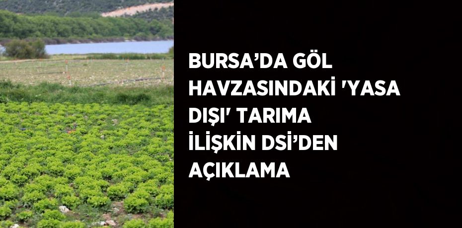 BURSA’DA GÖL HAVZASINDAKİ 'YASA DIŞI' TARIMA İLİŞKİN DSİ’DEN AÇIKLAMA