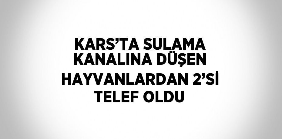 KARS’TA SULAMA KANALINA DÜŞEN HAYVANLARDAN 2’Sİ TELEF OLDU