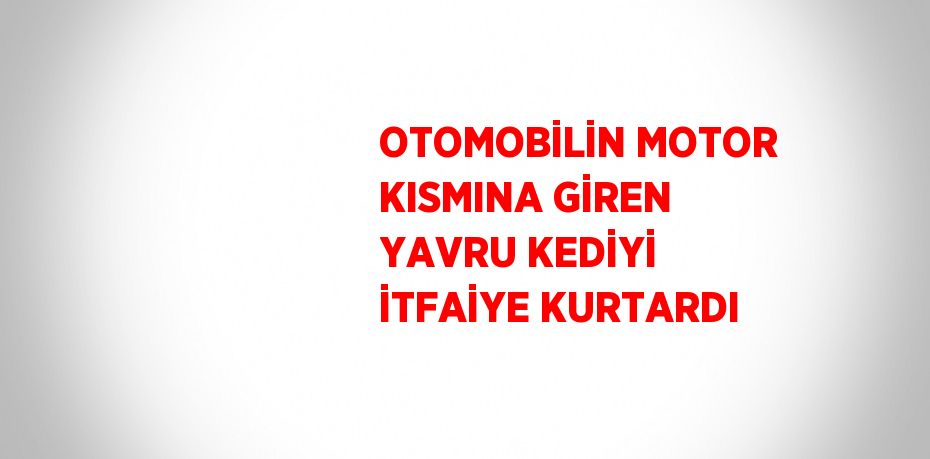 OTOMOBİLİN MOTOR KISMINA GİREN YAVRU KEDİYİ İTFAİYE KURTARDI