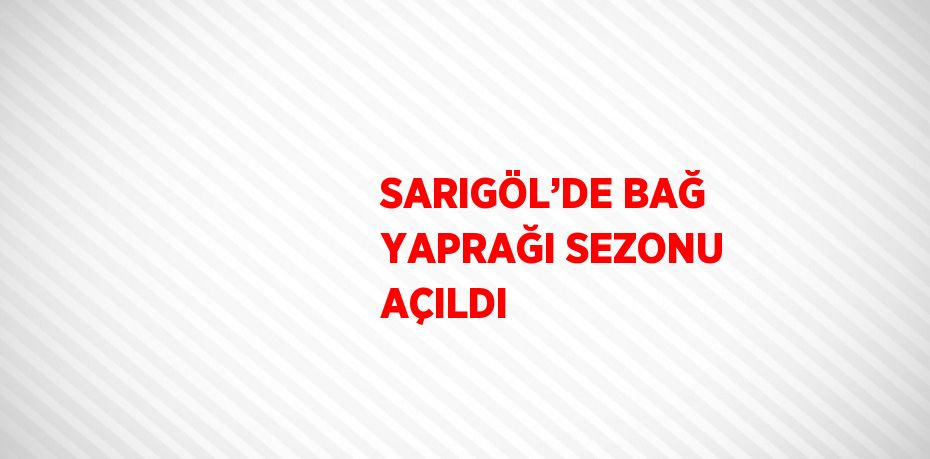 SARIGÖL’DE BAĞ YAPRAĞI SEZONU AÇILDI