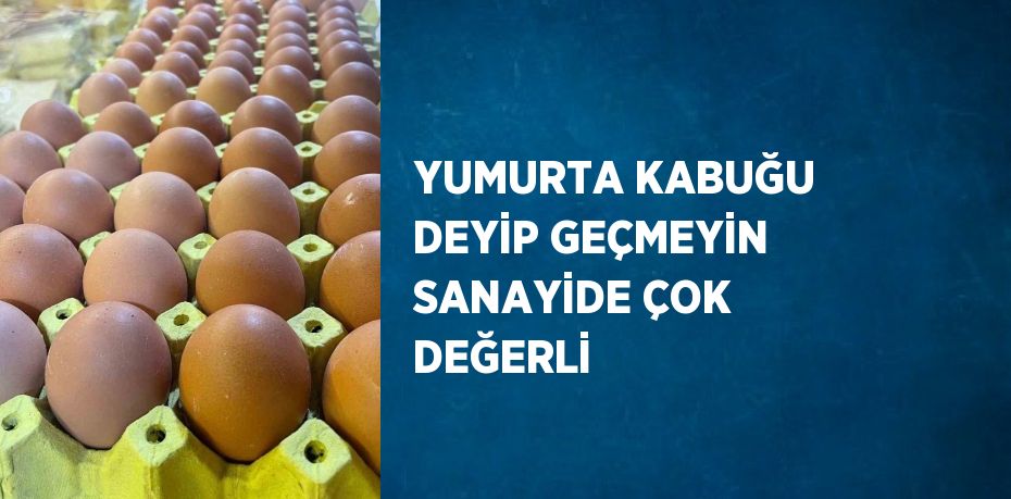 YUMURTA KABUĞU DEYİP GEÇMEYİN SANAYİDE ÇOK DEĞERLİ