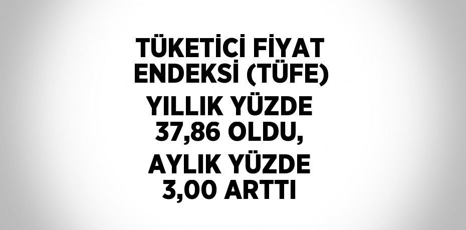 TÜKETİCİ FİYAT ENDEKSİ (TÜFE) YILLIK YÜZDE 37,86 OLDU, AYLIK YÜZDE 3,00 ARTTI