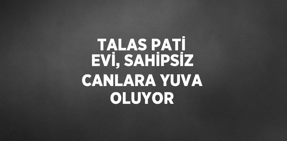 TALAS PATİ EVİ, SAHİPSİZ CANLARA YUVA OLUYOR