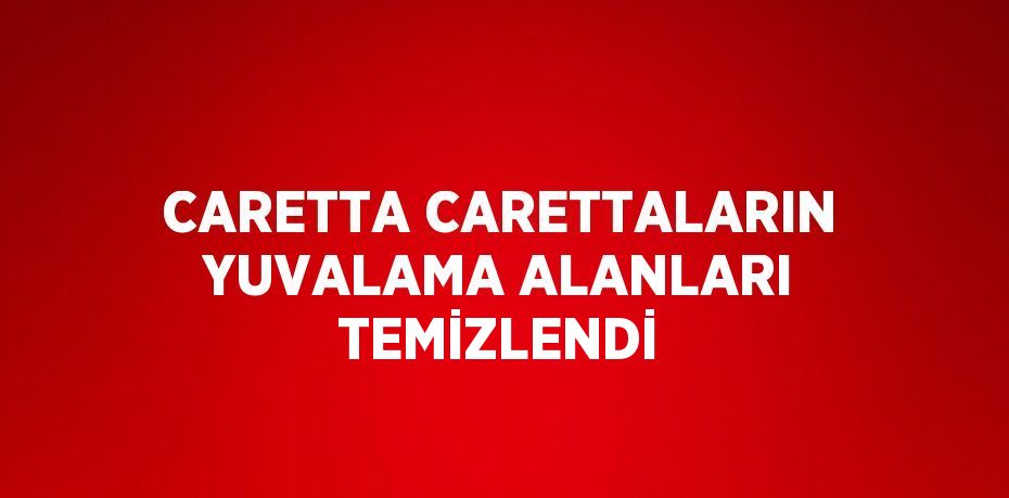 CARETTA CARETTALARIN YUVALAMA ALANLARI TEMİZLENDİ