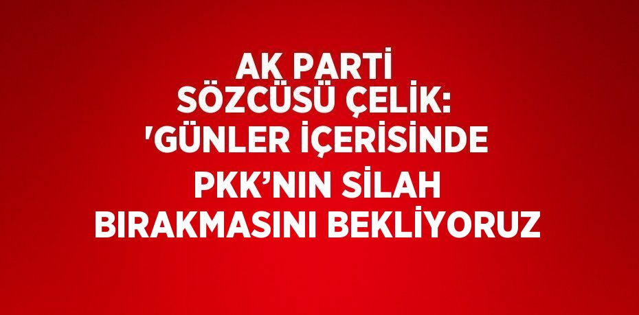 AK PARTİ SÖZCÜSÜ ÇELİK: 'GÜNLER İÇERİSİNDE PKK’NIN SİLAH BIRAKMASINI BEKLİYORUZ