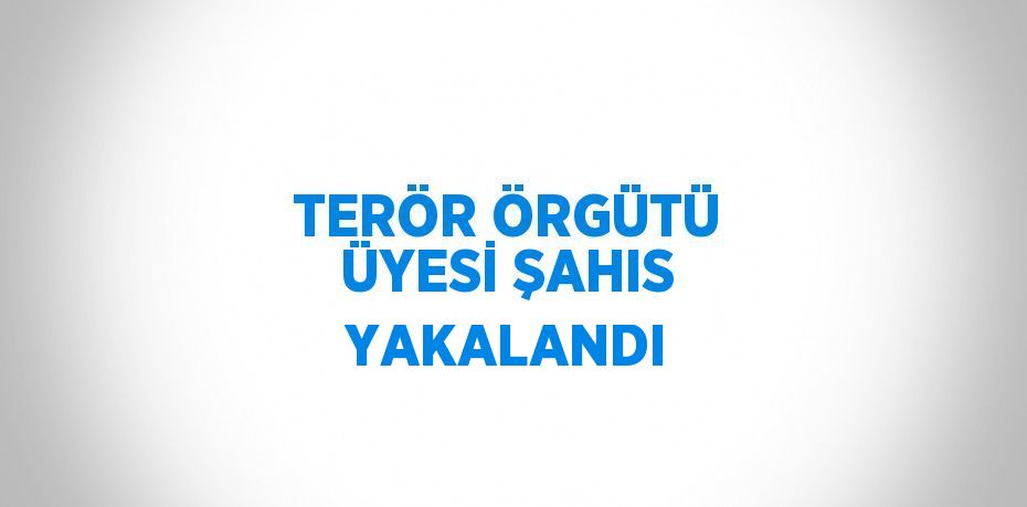 TERÖR ÖRGÜTÜ ÜYESİ ŞAHIS YAKALANDI